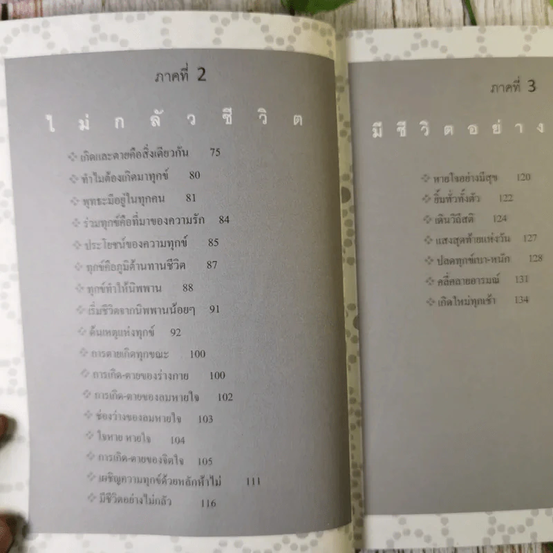 ไม่กลัว ไม่ตาย ฉบับใหม่ - สุวรรณา โชคประจักษ์ชัด รูปที่ 11