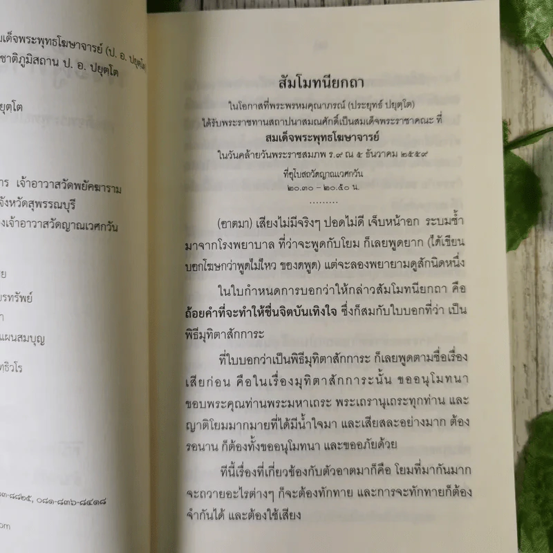 พระผู้ทำสวนให้งาน - สมเด็จพระพุทธโฆษาจารย์ รูปที่ 9