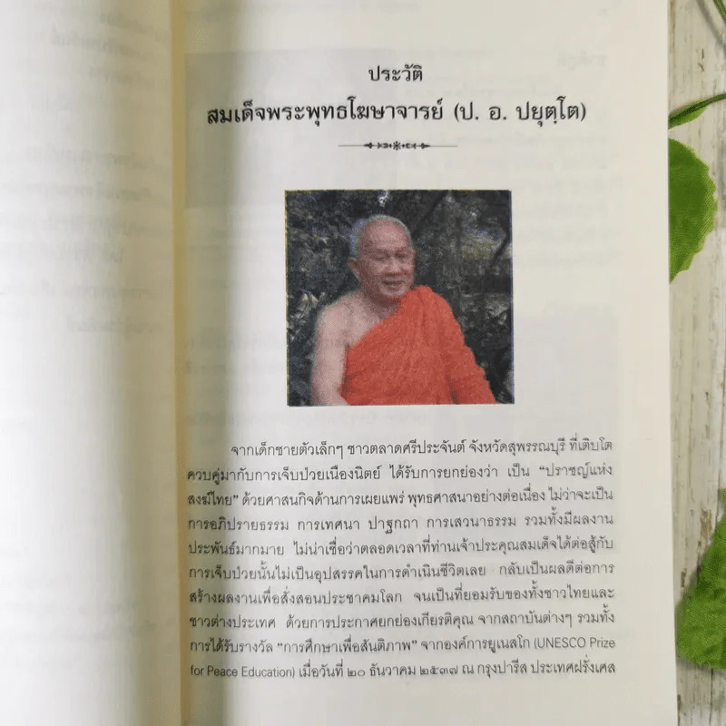 พระผู้ทำสวนให้งาน - สมเด็จพระพุทธโฆษาจารย์ รูปที่ 12