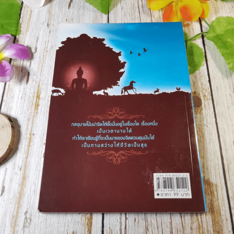แสงแห่งสมาธิ ทางสว่างซึ่งนำไปสู่ความสงบร่มเย็น ใต้ร่มเงาแห่งธรรม - ชิสา สรวิสูตร รูปที่ 7