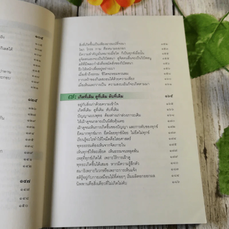 แค่เฝ้าดูก็รู้ธรรม - ส.มหาปัญโญภิกขุ รูปที่ 12