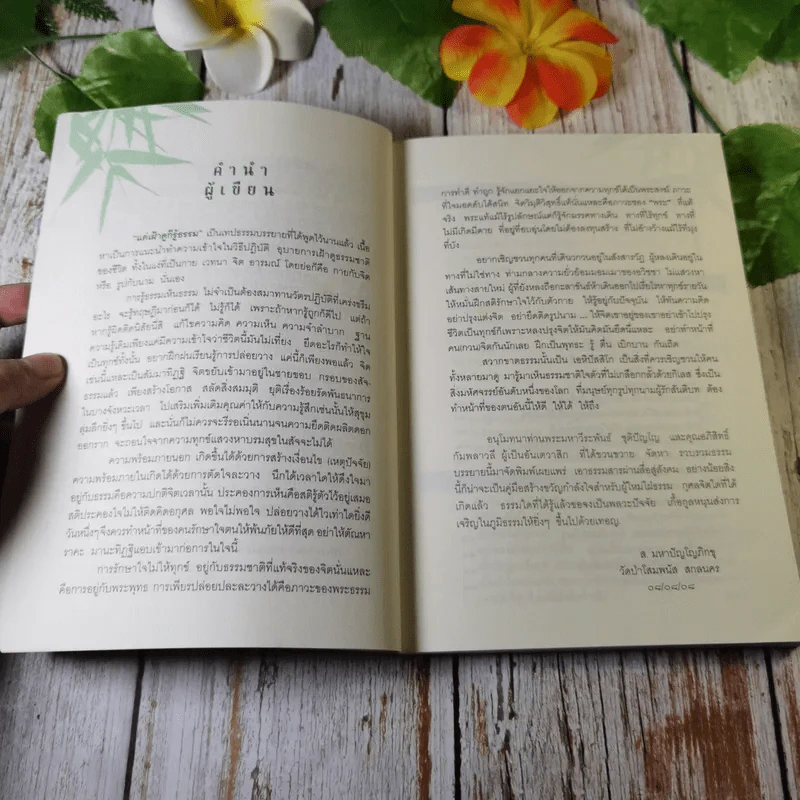แค่เฝ้าดูก็รู้ธรรม - ส.มหาปัญโญภิกขุ รูปที่ 8
