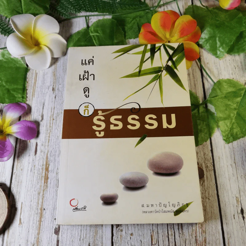 แค่เฝ้าดูก็รู้ธรรม - ส.มหาปัญโญภิกขุ รูปที่ 1