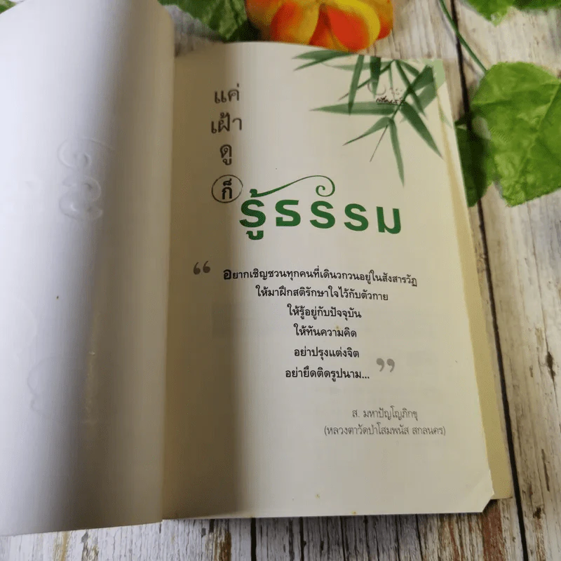 แค่เฝ้าดูก็รู้ธรรม - ส.มหาปัญโญภิกขุ รูปที่ 4