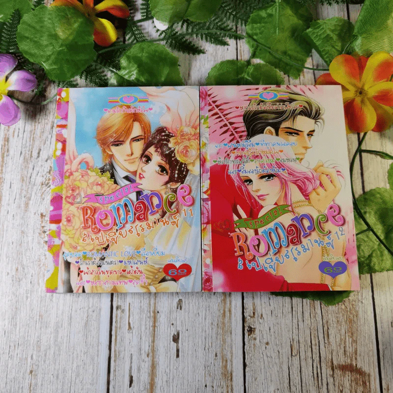 Special Romance สเปเชี่ยลโรมานซ์ เล่ม 1-18 รูปที่ 11