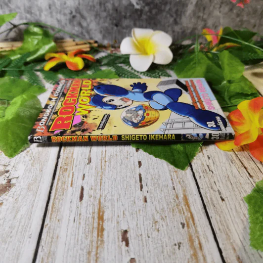 Rockman World ร็อคแมน - Shigeto Ikehara รูปที่ 2