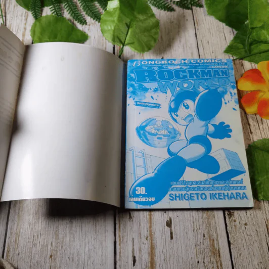 Rockman World ร็อคแมน - Shigeto Ikehara รูปที่ 4