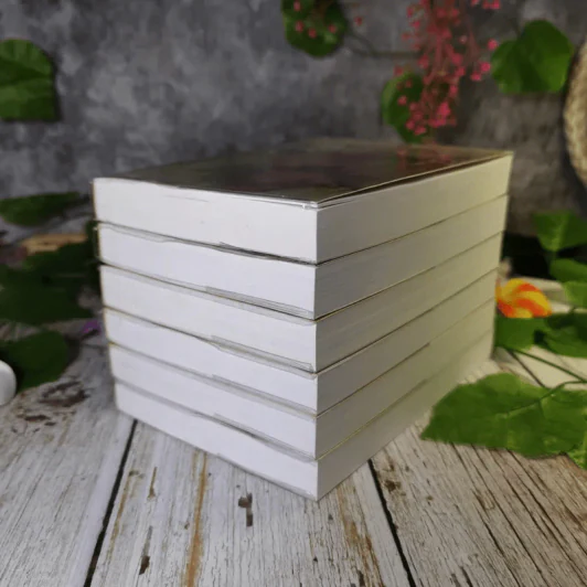 ศิวา-ราตรี 6 เล่มจบ Boxset - พนมเทียน รูปที่ 9