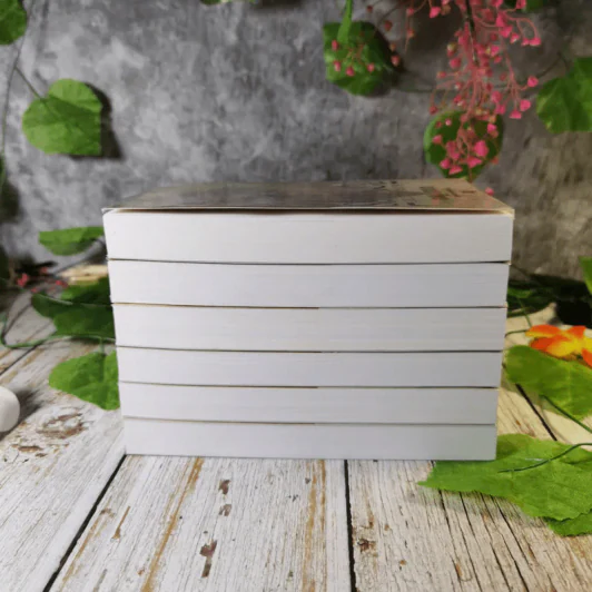 ศิวา-ราตรี 6 เล่มจบ Boxset - พนมเทียน รูปที่ 8
