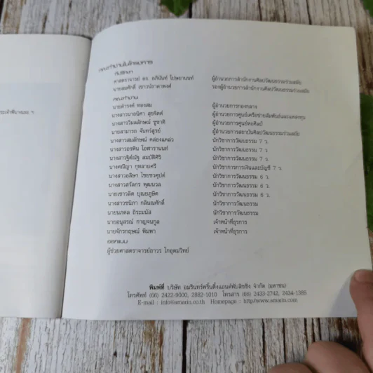 ศิลปกรรมพระประวัติและพระราชกรณียกิจ ในสมเด็จพระเจ้าพี่นางเธอ เจ้าฟ้ากัลยาณิวัฒนา กรมหลวงนราธิวาสราชนครินทร์ รูปที่ 12