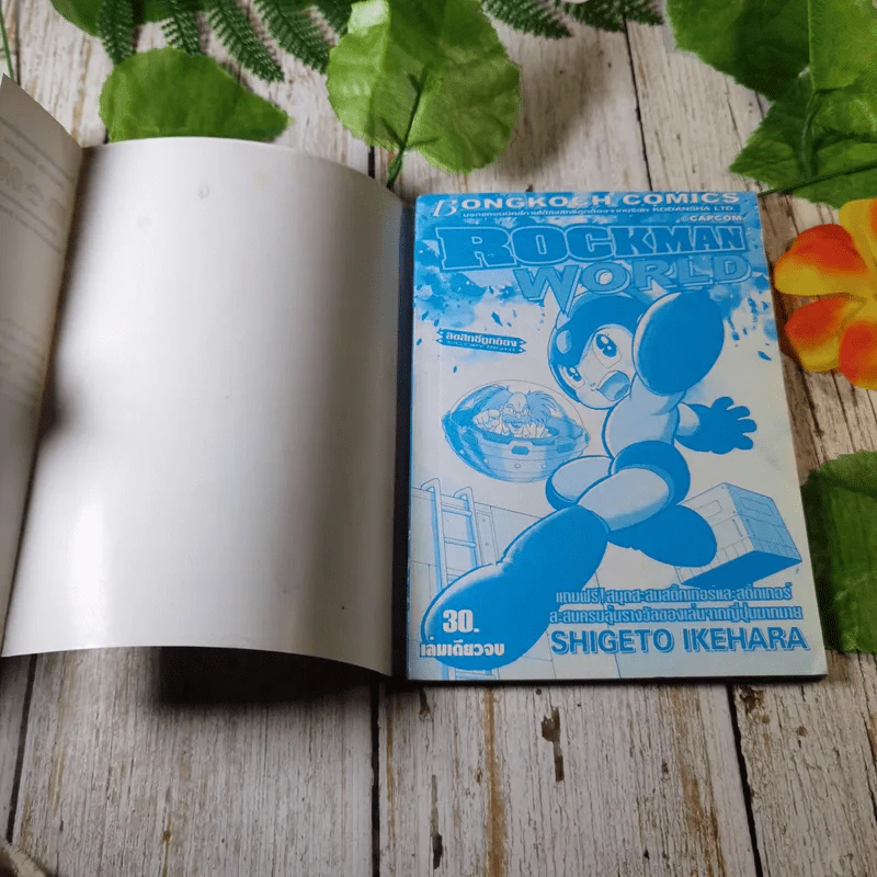 Rockman World ร็อคแมน - Shigeto Ikehara รูปที่ 4