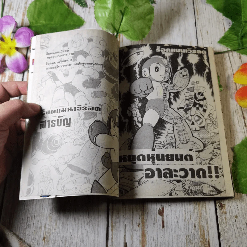 Rockman World ร็อคแมน - Shigeto Ikehara รูปที่ 6