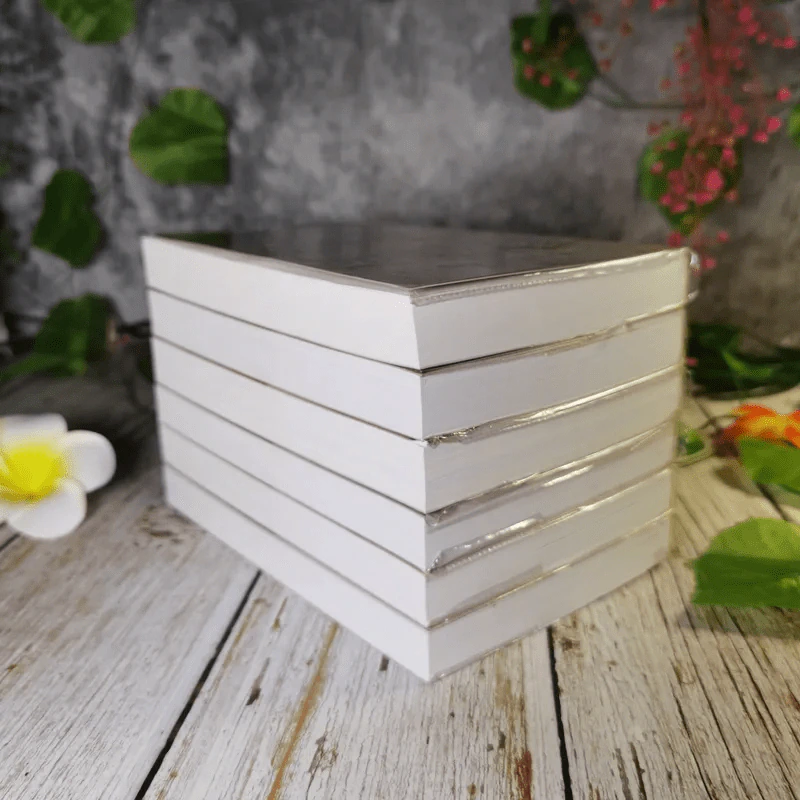ศิวา-ราตรี 6 เล่มจบ Boxset - พนมเทียน รูปที่ 10