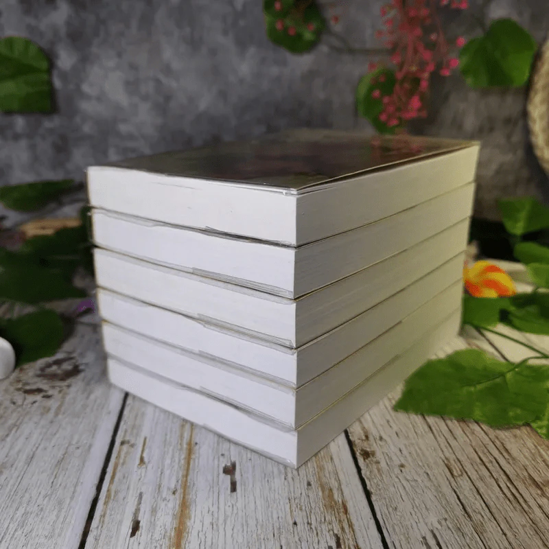 ศิวา-ราตรี 6 เล่มจบ Boxset - พนมเทียน รูปที่ 9