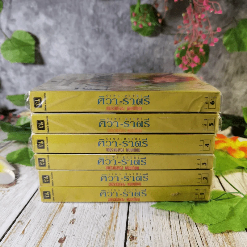 ศิวา-ราตรี 6 เล่มจบ Boxset - พนมเทียน รูปที่ 7