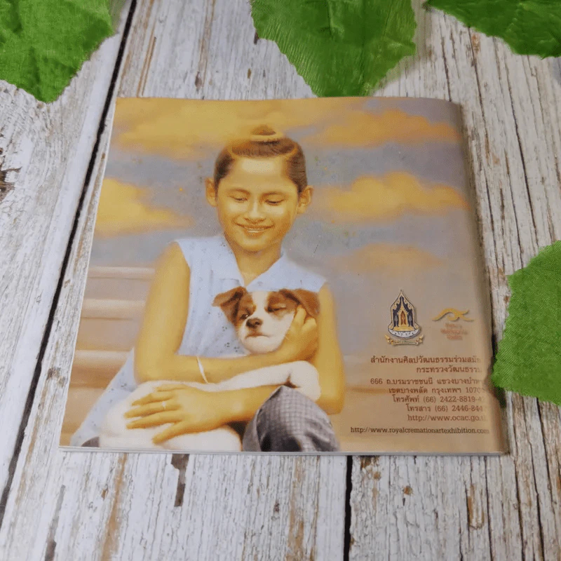ศิลปกรรมพระประวัติและพระราชกรณียกิจ ในสมเด็จพระเจ้าพี่นางเธอ เจ้าฟ้ากัลยาณิวัฒนา กรมหลวงนราธิวาสราชนครินทร์ รูปที่ 13