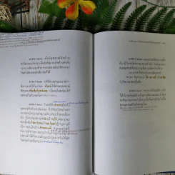 ประมวลกฎหมายวิธีพิจารณาความอาญา (ฉบับสมบูรณ์) - ไพโรจน์ วายุภาพ รูปที่ 25