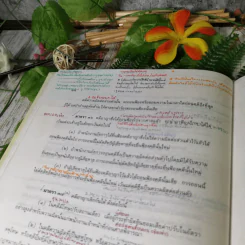 ประมวลกฎหมายวิธีพิจารณาความอาญา - สุชาติ จิวะชาติ รูปที่ 21