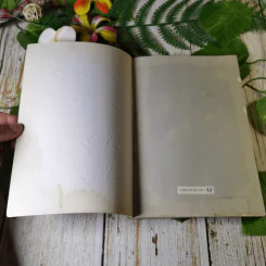 สืบแบบเชอร์ล็อค โฮล์มส์ - Ransom Riggs รูปที่ 4