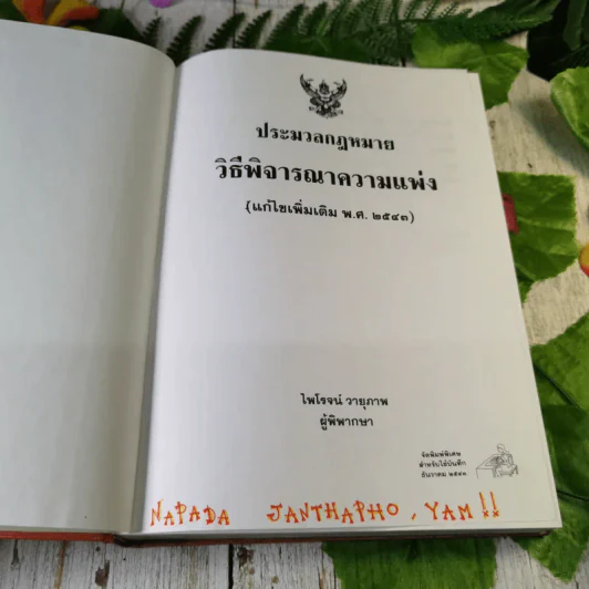 ประมวลกฎหมายวิธีพิจารณาความแพ่ง (แก้ไขเพิ่มเติม พ.ศ.2543) - ไพโรจน์ วายุภาพ รูปที่ 7