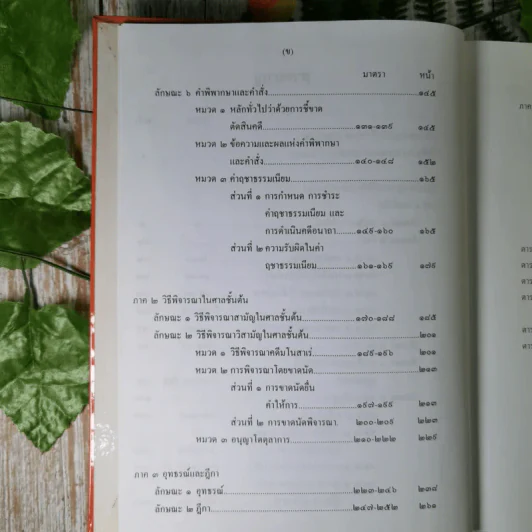 ประมวลกฎหมายวิธีพิจารณาความแพ่ง (แก้ไขเพิ่มเติม พ.ศ.2543) - ไพโรจน์ วายุภาพ รูปที่ 11