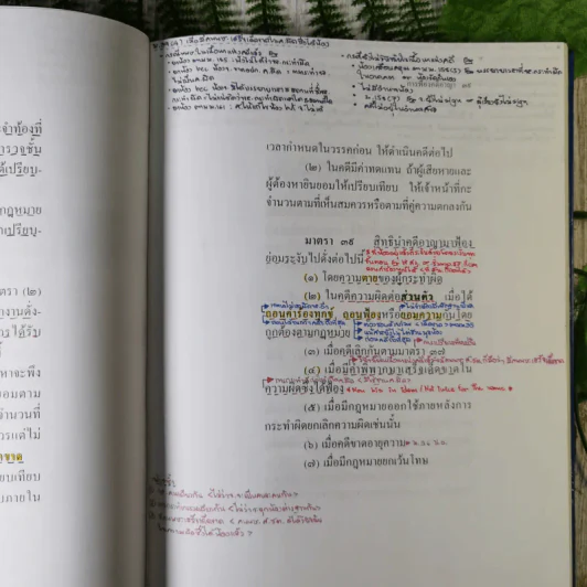 ประมวลกฎหมายวิธีพิจารณาความอาญา (ฉบับสมบูรณ์) - ไพโรจน์ วายุภาพ รูปที่ 17