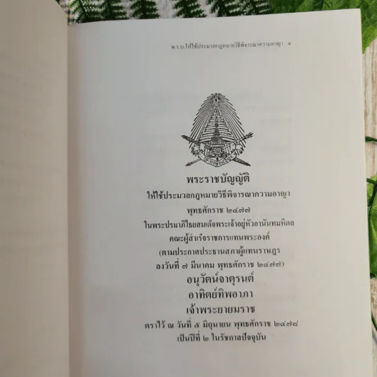 ประมวลกฎหมายวิธีพิจารณาความอาญา (ฉบับสมบูรณ์) - ไพโรจน์ วายุภาพ รูปที่ 13