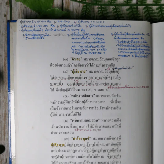 ประมวลกฎหมายวิธีพิจารณาความอาญา (ฉบับสมบูรณ์) - ไพโรจน์ วายุภาพ รูปที่ 14