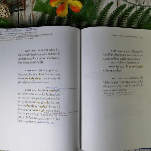 ประมวลกฎหมายวิธีพิจารณาความอาญา (ฉบับสมบูรณ์) - ไพโรจน์ วายุภาพ รูปที่ 25