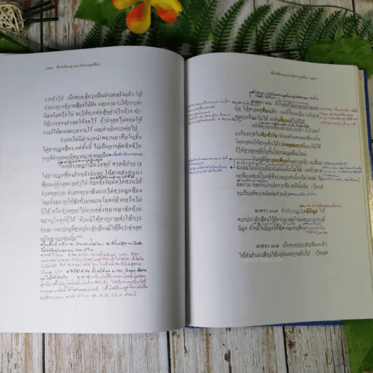 ประมวลกฎหมายวิธีพิจารณาความอาญา (ฉบับสมบูรณ์) - ไพโรจน์ วายุภาพ รูปที่ 21