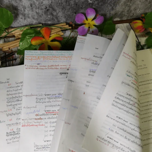 ประมวลกฎหมายวิธีพิจารณาความอาญา - สุชาติ จิวะชาติ รูปที่ 25