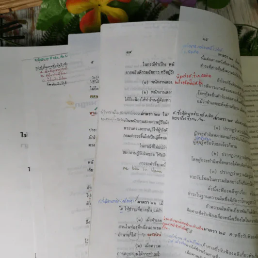 ประมวลกฎหมายวิธีพิจารณาความอาญา - สุชาติ จิวะชาติ รูปที่ 17