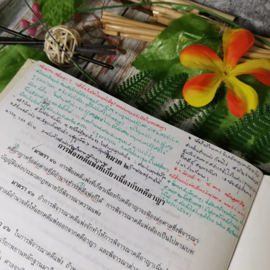 ประมวลกฎหมายวิธีพิจารณาความอาญา - สุชาติ จิวะชาติ รูปที่ 22