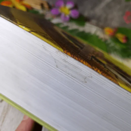 พลิกประเด็นภาษีเปิดฎีกาไขปัญหา - สมเดช โรจน์คุรีเสถียรและคณะ รูปที่ 4