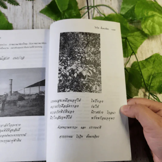 เนปาลสถานเทวาลัย - โกวิท ตั้งตรงจิตร รูปที่ 10