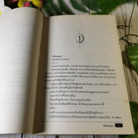 พิภพมนตรา - จุฑารัตน์ รูปที่ 6