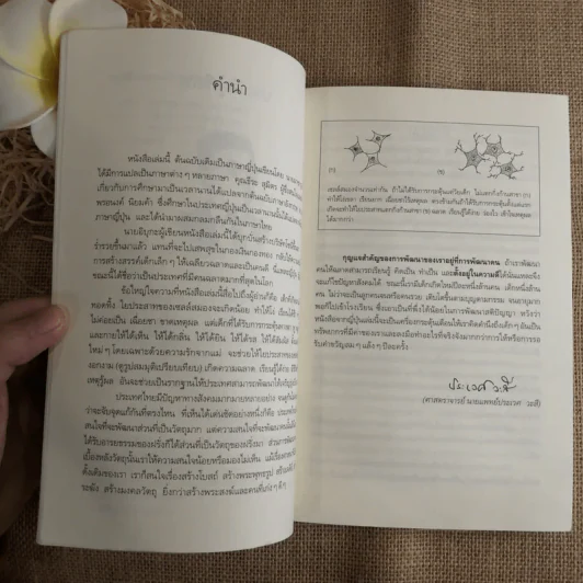 รอให้ถึงอนุบาลก็สายเสียแล้ว - มาซารุ อิบุกะ รูปที่ 9