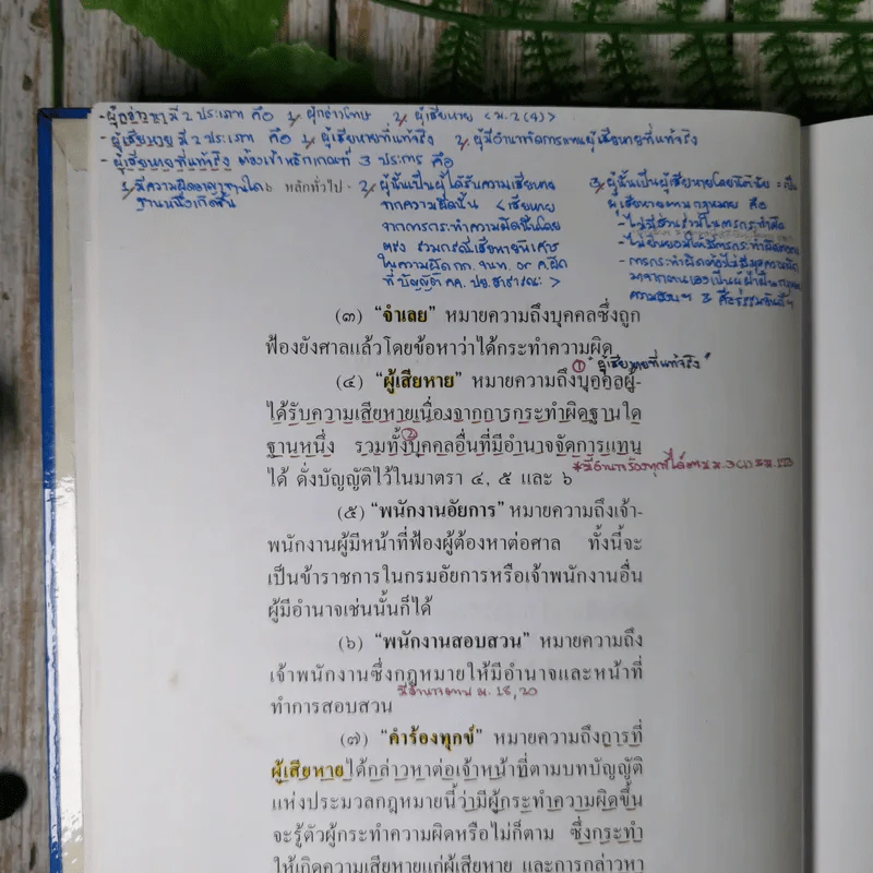 ประมวลกฎหมายวิธีพิจารณาความอาญา (ฉบับสมบูรณ์) - ไพโรจน์ วายุภาพ รูปที่ 14