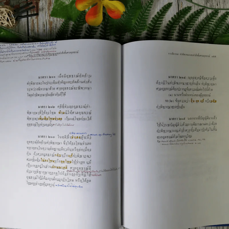 ประมวลกฎหมายวิธีพิจารณาความอาญา (ฉบับสมบูรณ์) - ไพโรจน์ วายุภาพ รูปที่ 25