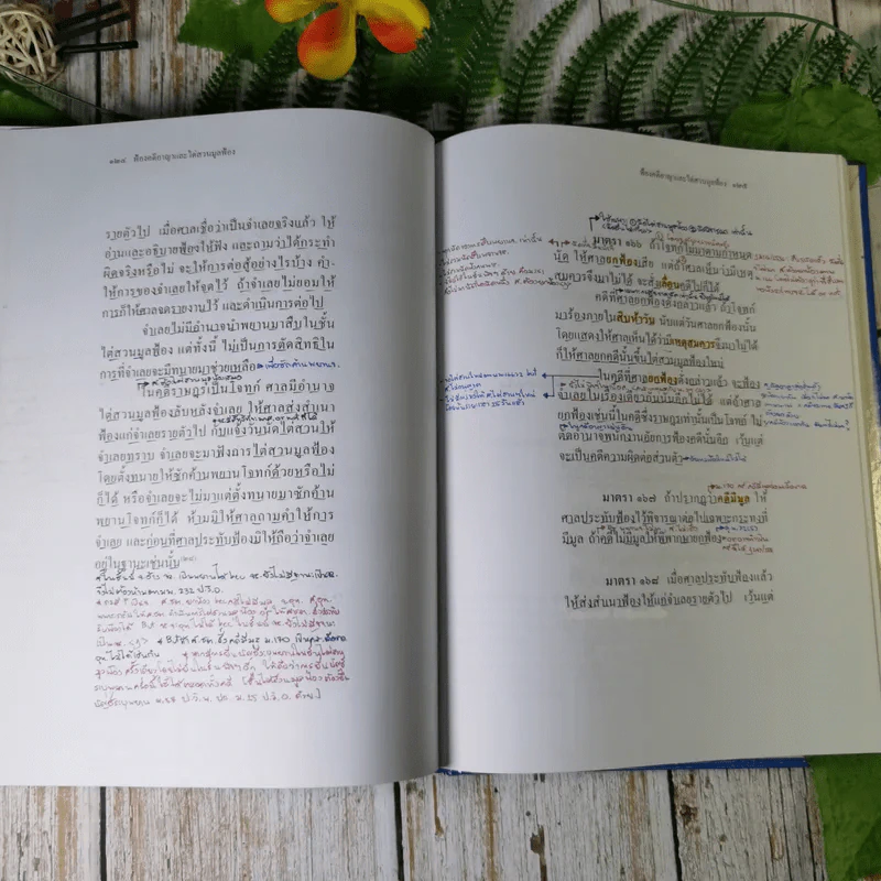 ประมวลกฎหมายวิธีพิจารณาความอาญา (ฉบับสมบูรณ์) - ไพโรจน์ วายุภาพ รูปที่ 21
