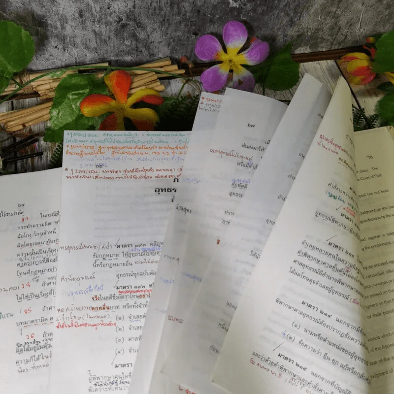 ประมวลกฎหมายวิธีพิจารณาความอาญา - สุชาติ จิวะชาติ รูปที่ 25