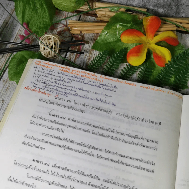 ประมวลกฎหมายวิธีพิจารณาความอาญา - สุชาติ จิวะชาติ รูปที่ 23