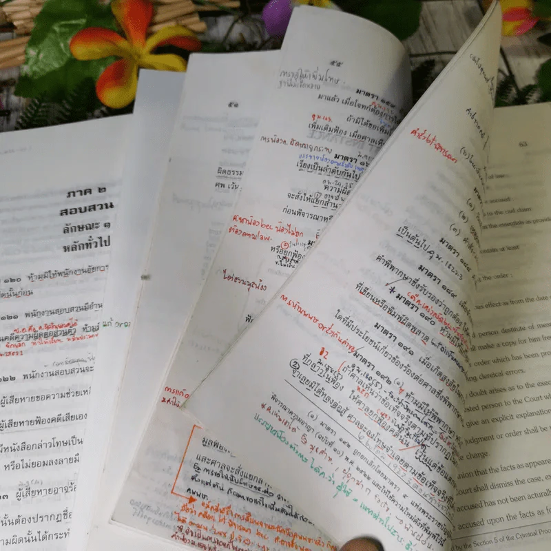 ประมวลกฎหมายวิธีพิจารณาความอาญา - สุชาติ จิวะชาติ รูปที่ 24