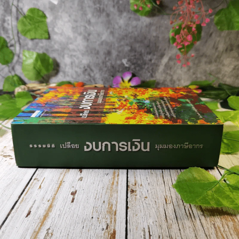 เปลือยงบการเงิน มุมมองภาษีอากร - สมเดช โรจน์คุรีเสถียร รูปที่ 2
