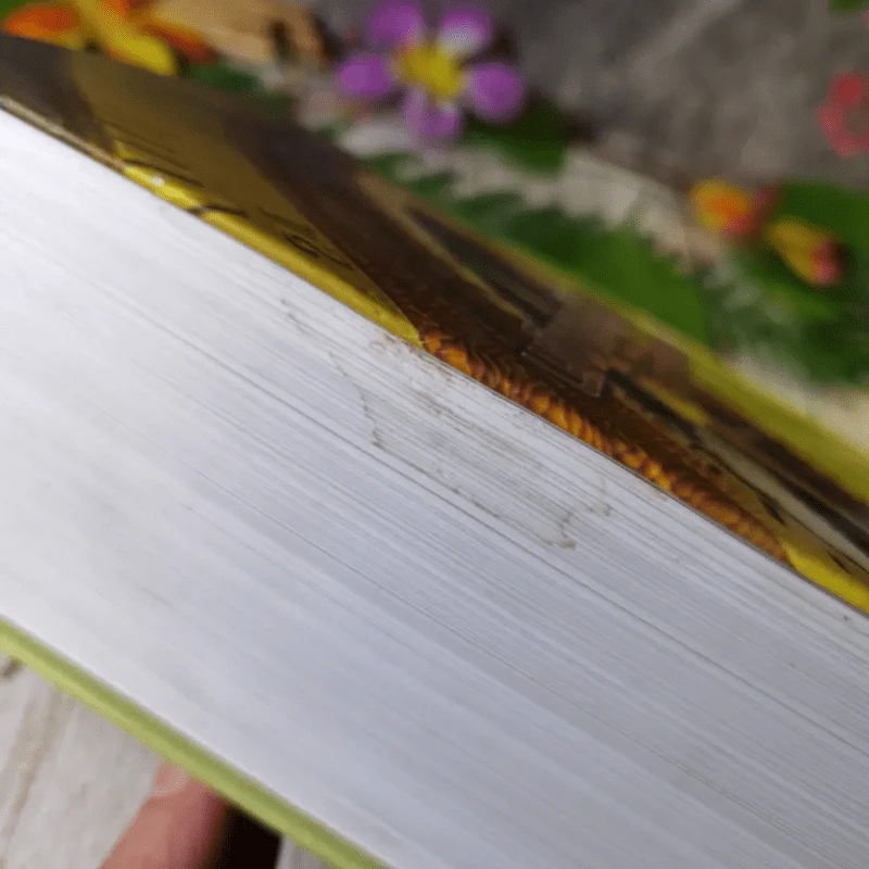 พลิกประเด็นภาษีเปิดฎีกาไขปัญหา - สมเดช โรจน์คุรีเสถียรและคณะ รูปที่ 4