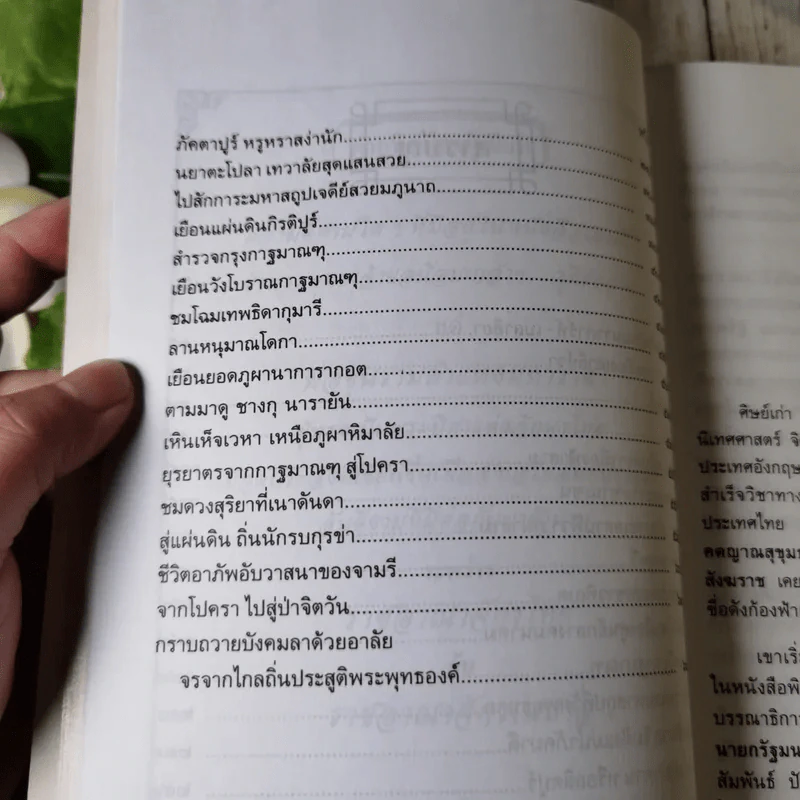 เนปาลสถานเทวาลัย - โกวิท ตั้งตรงจิตร รูปที่ 9
