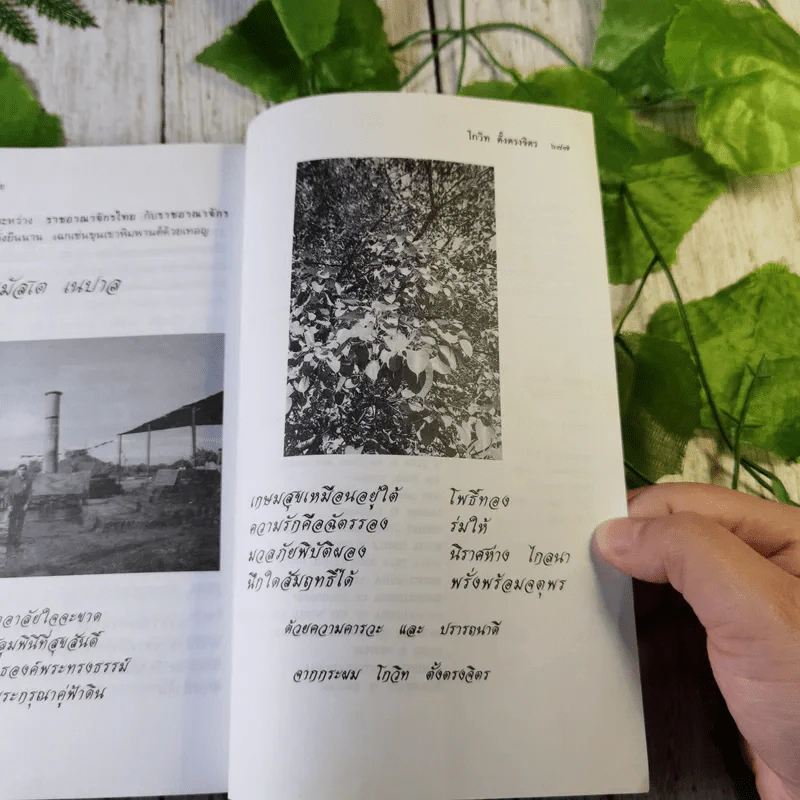 เนปาลสถานเทวาลัย - โกวิท ตั้งตรงจิตร รูปที่ 10