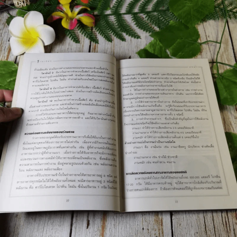 ตำราอาหารจานเดียว - สำนักพิมพ์แสงแดด รูปที่ 8