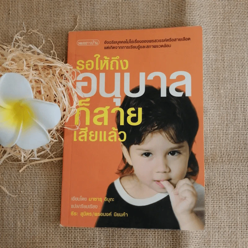 รอให้ถึงอนุบาลก็สายเสียแล้ว - มาซารุ อิบุกะ รูปที่ 1