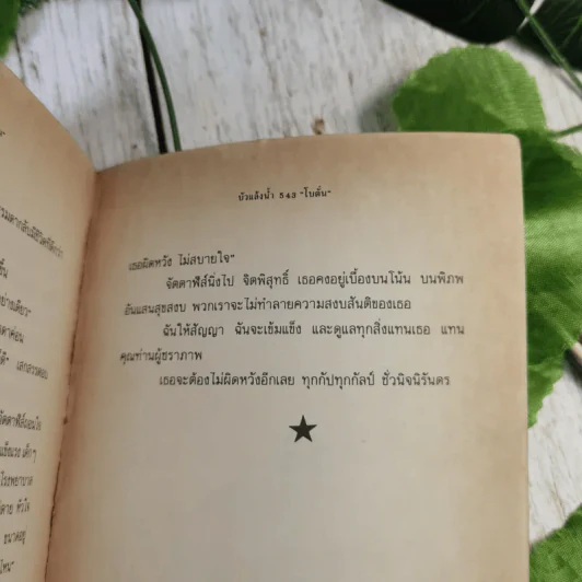 บัวแล้งน้ำ - โบตั๋น รูปที่ 11